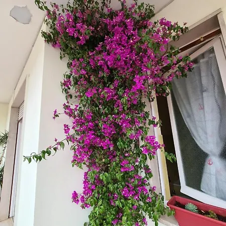 Casa Dell 2 Appartement *